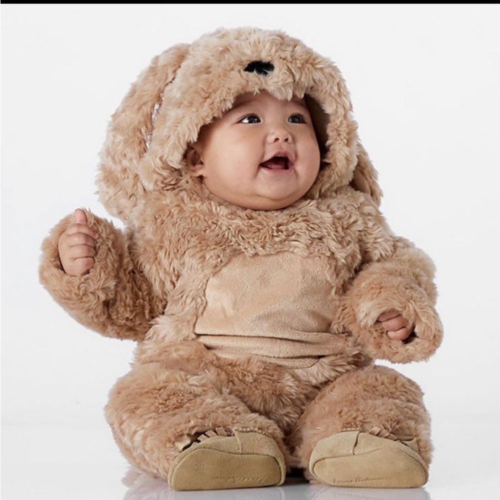 Pottery Barn Kids Puppy Costume